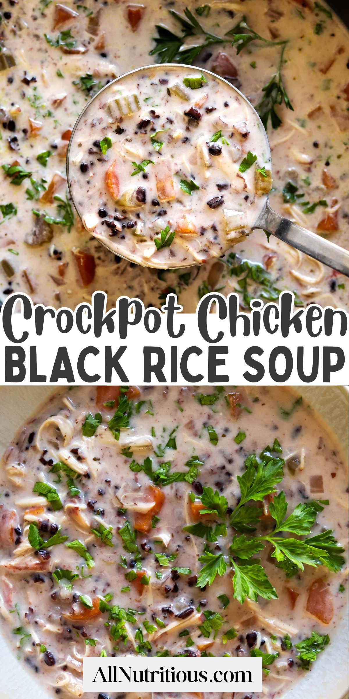 Creamy Crockpot Chicken Black Rice Soup