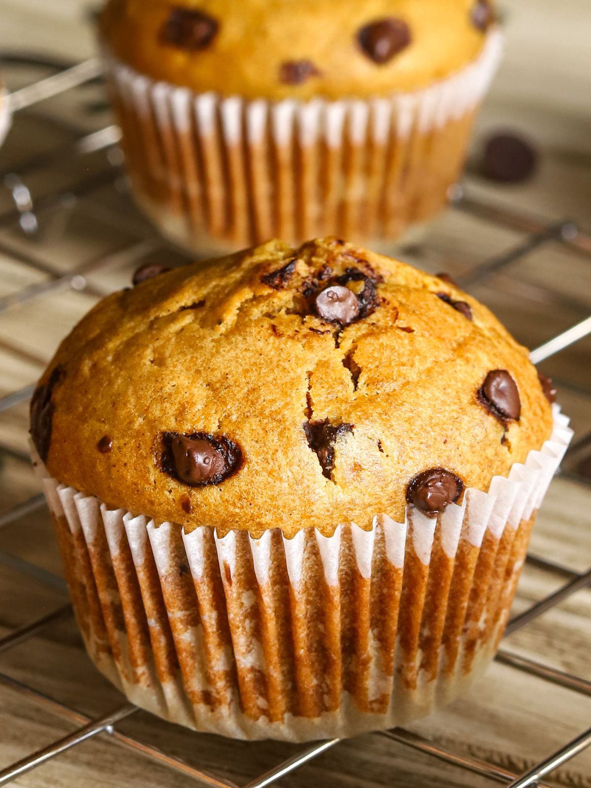 cottage cheese pumpkin muffins