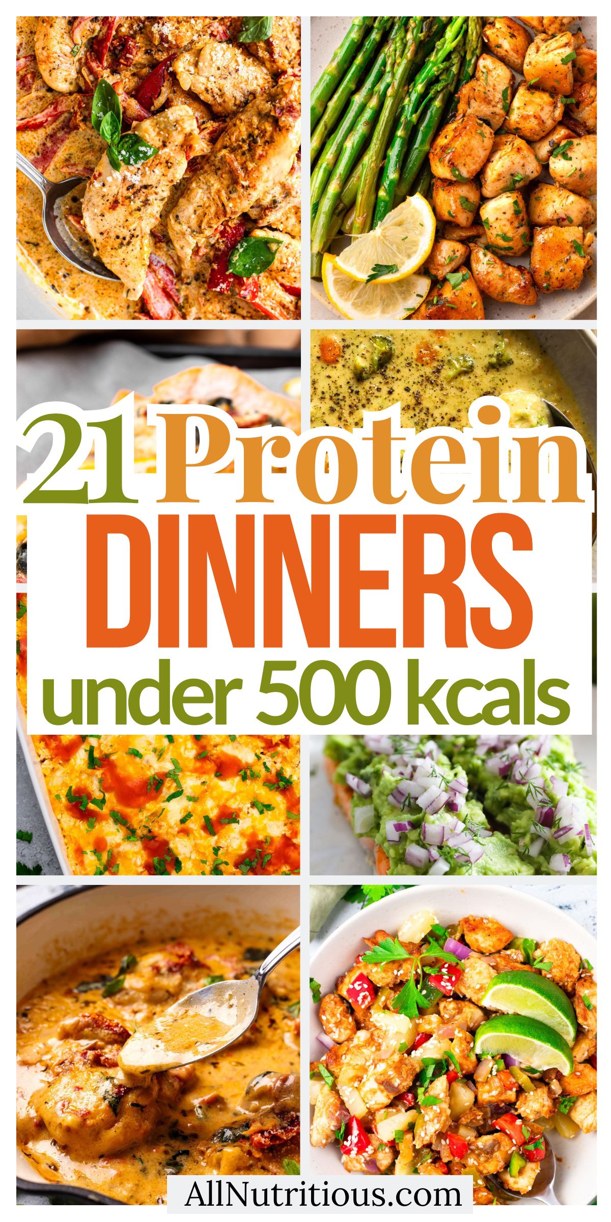 21 High Protein Dinners Under 500 Kcal
