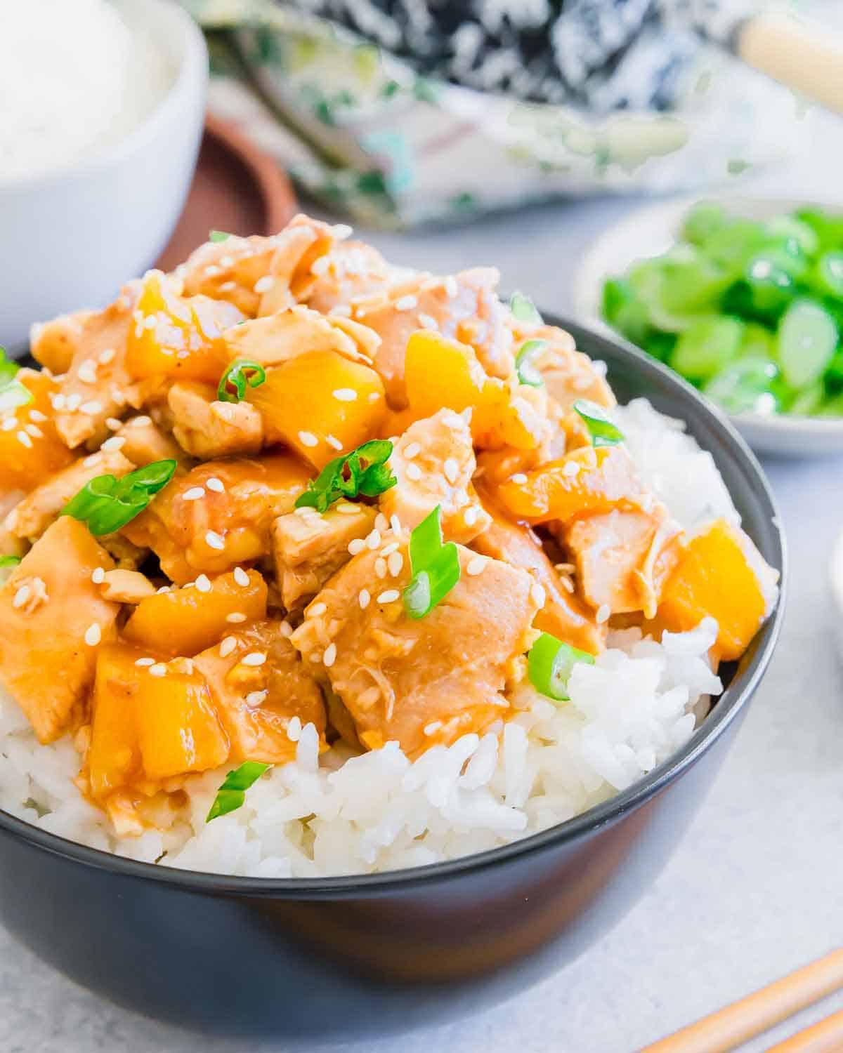 Slow Cooker Honey Garlic Chicken