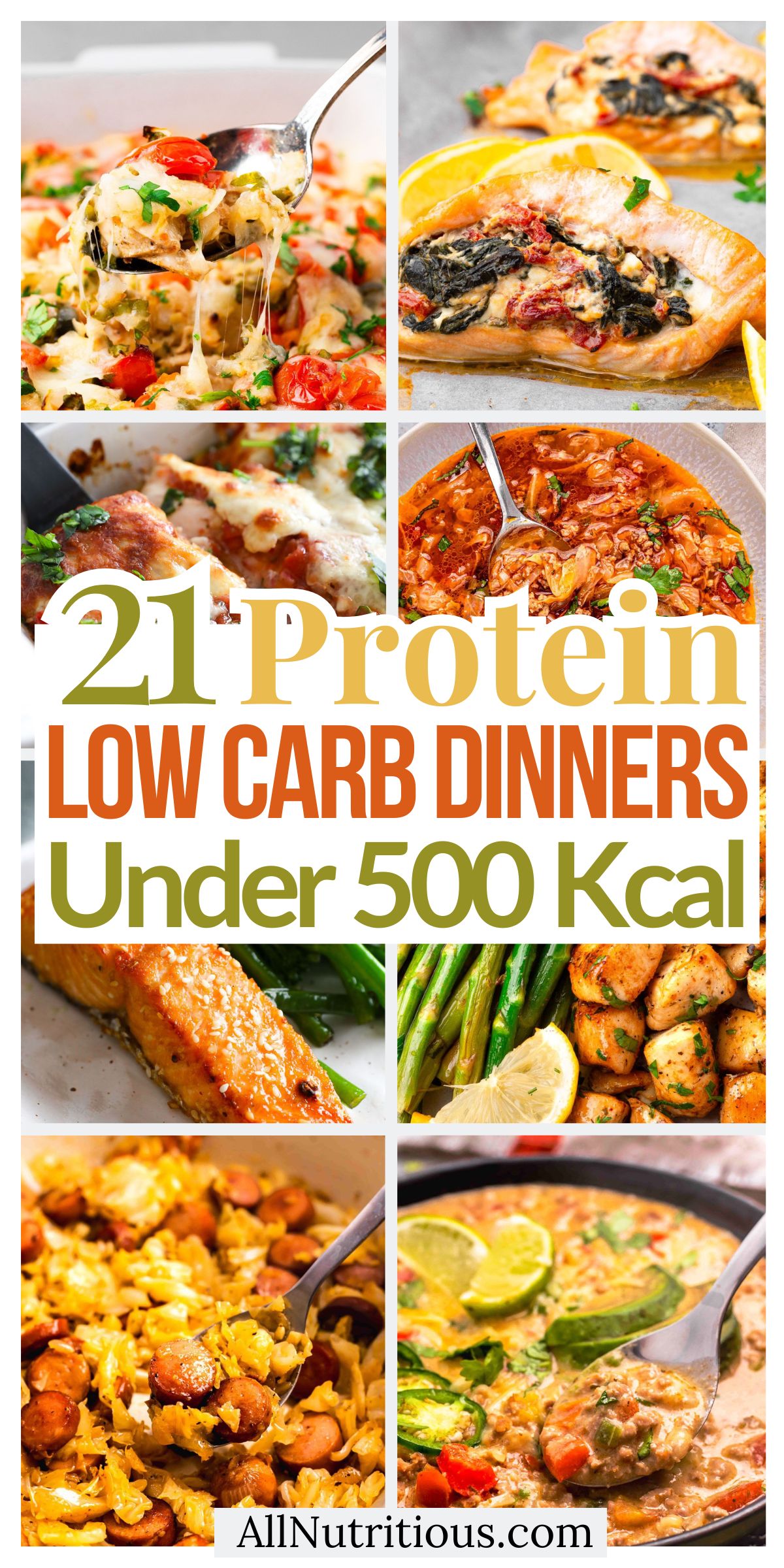 21 High Protein Low Carb Dinners Under 500 Kcal