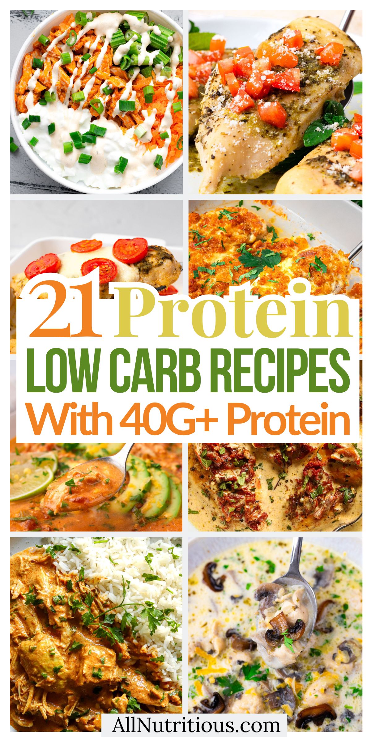 21 High Protein Low Carb Recipes with 40G+ Protein