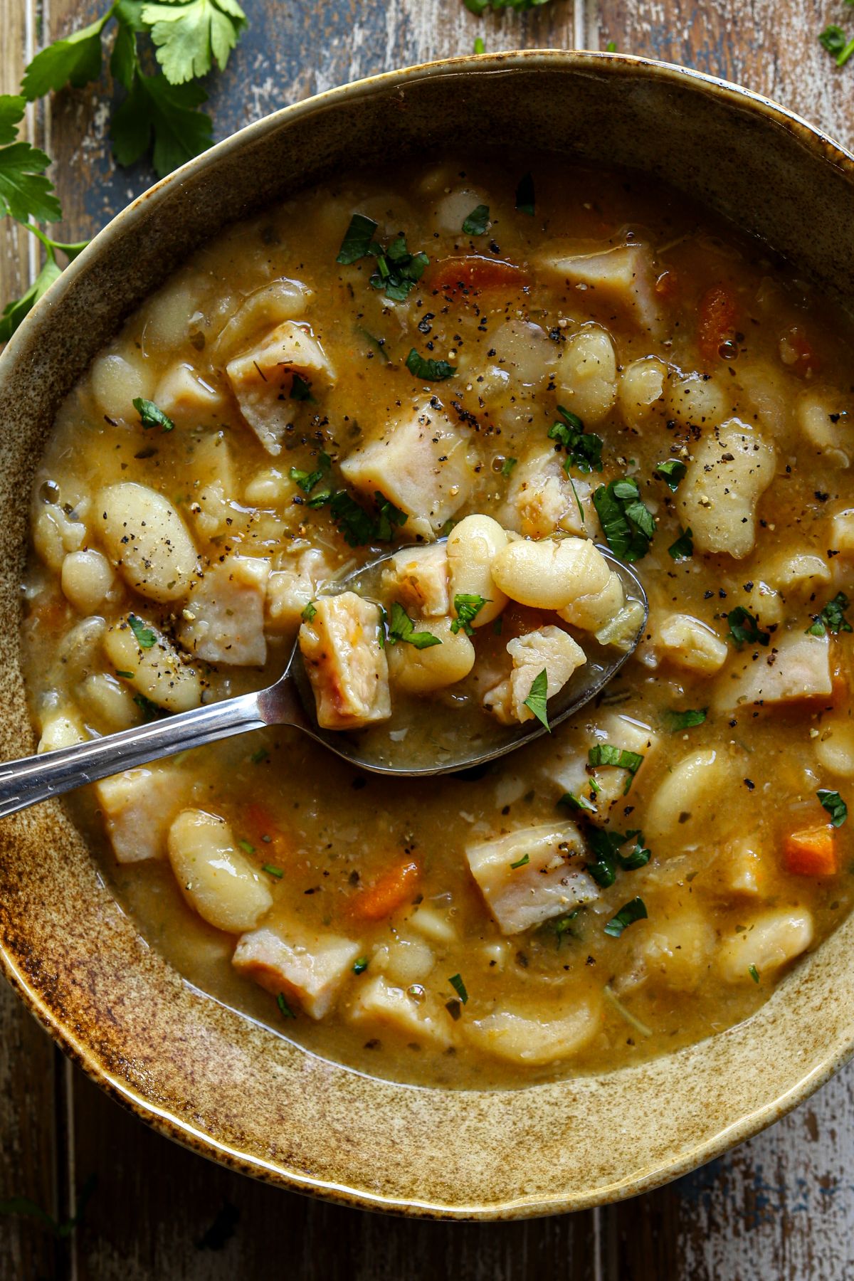 Delectable Ham and Bean Soup