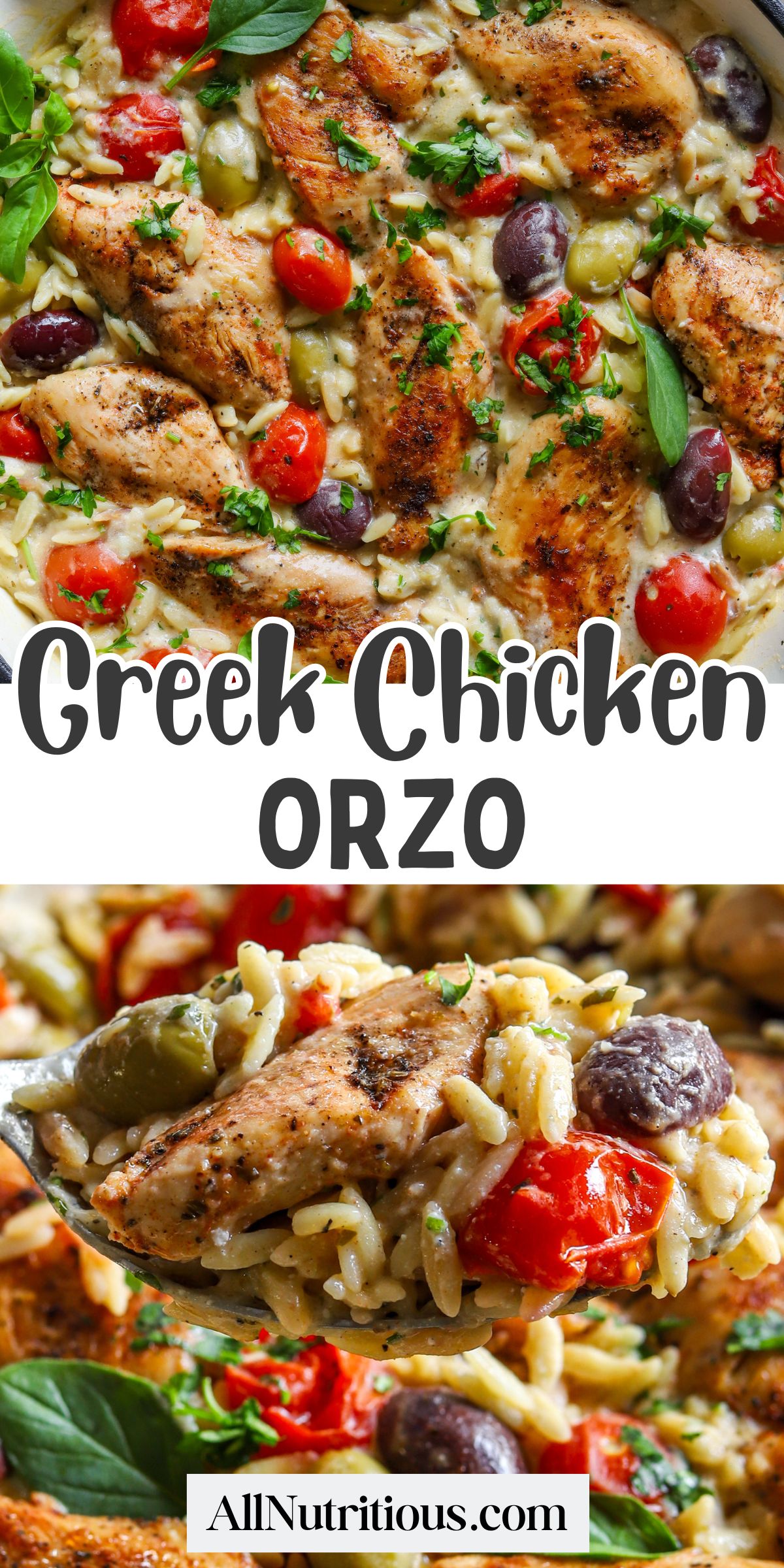 Greek Chicken Orzo