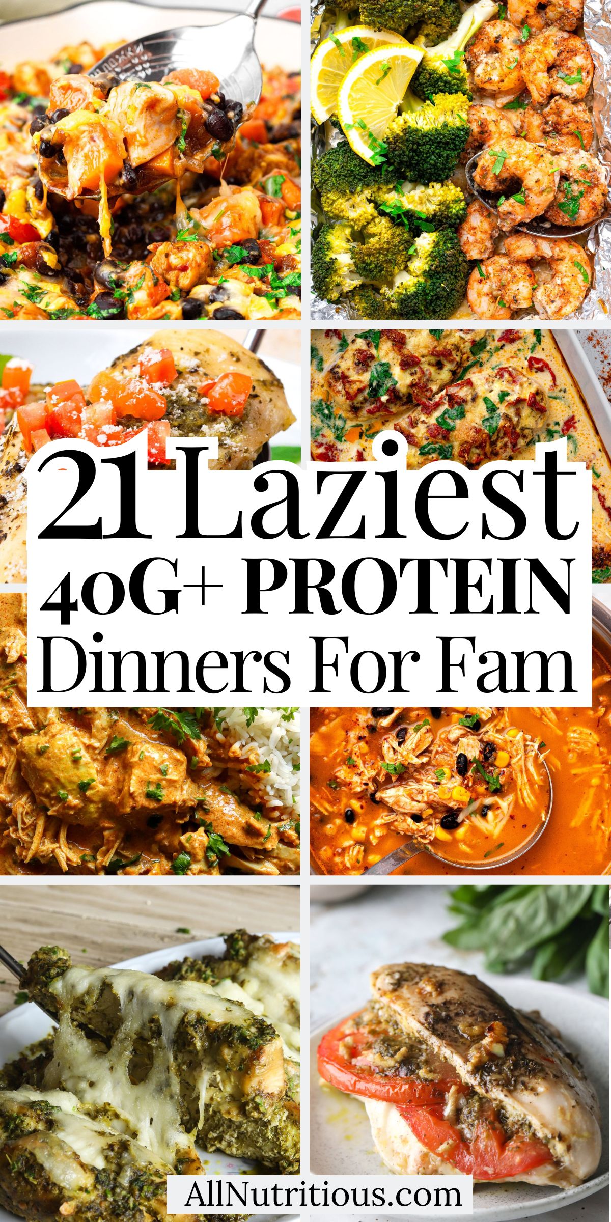 21 Lazy 40G+ Protein Dinners for Families