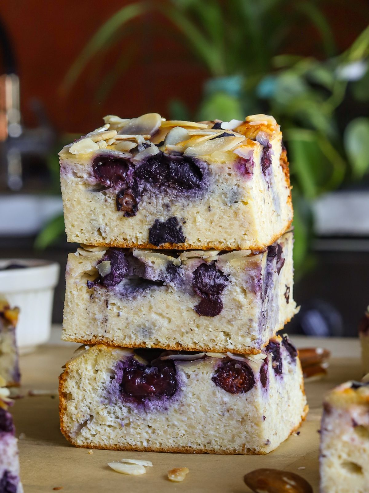 Tasty Blueberry Cottage Cheese Bake