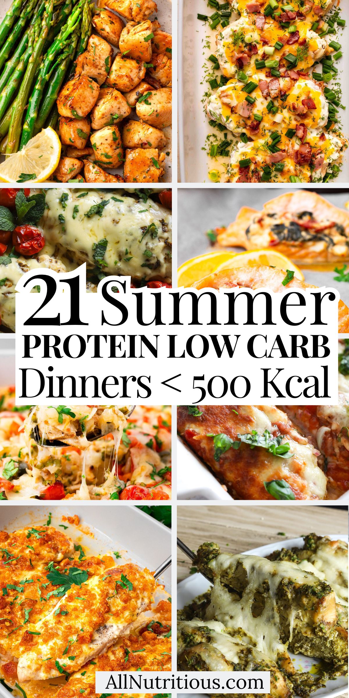 21 Summer High Protein Low Carb Dinners Under 500 Kcal