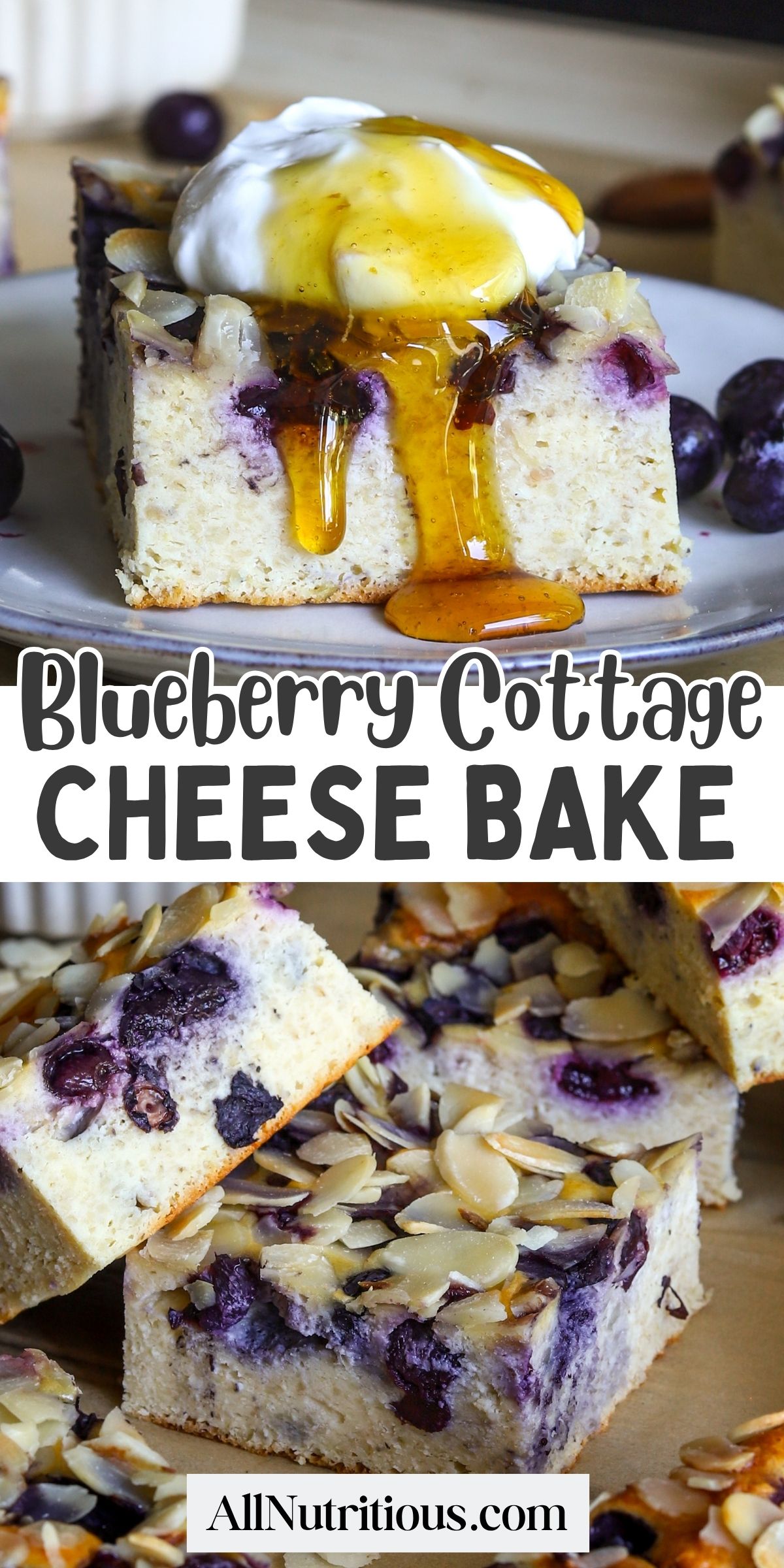 Blueberry Cottage Cheese Bake