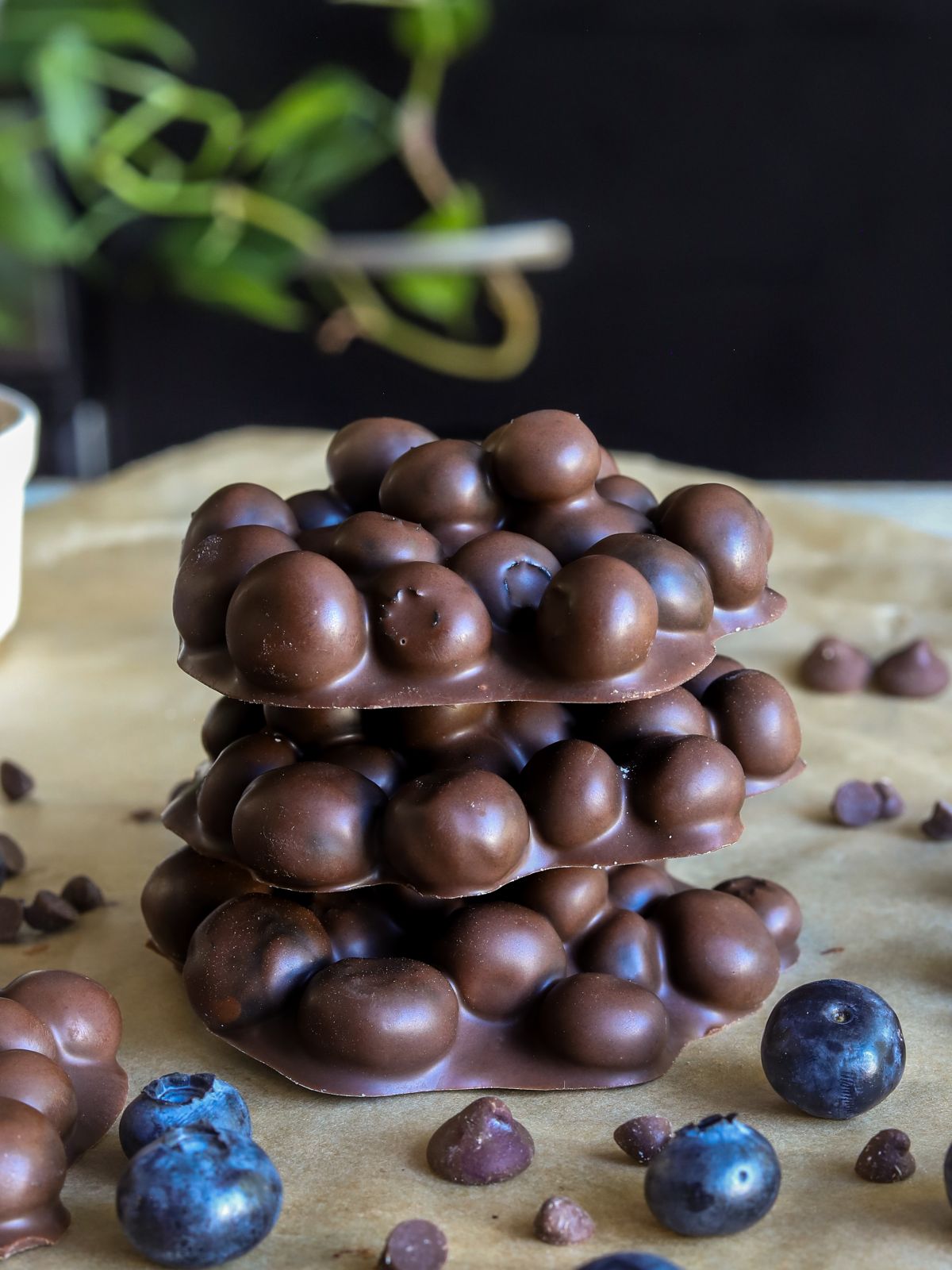 Chocolate Covered Blueberries
