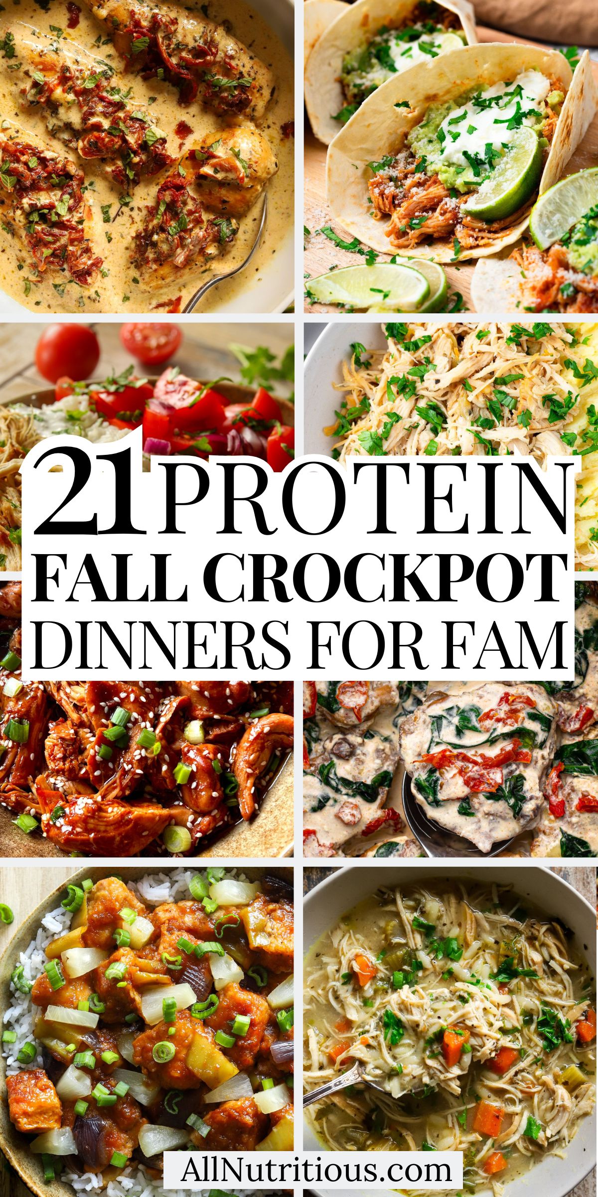 21 Fall High Protein Crockpot Dinners for Families