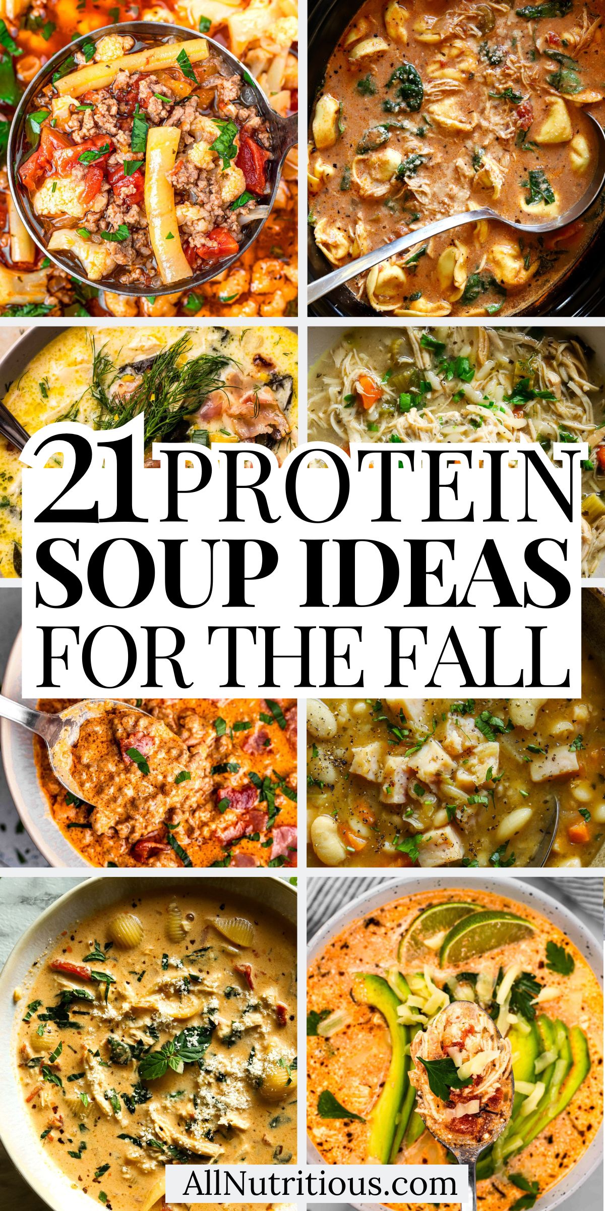 21 Fall High Protein Soup Ideas