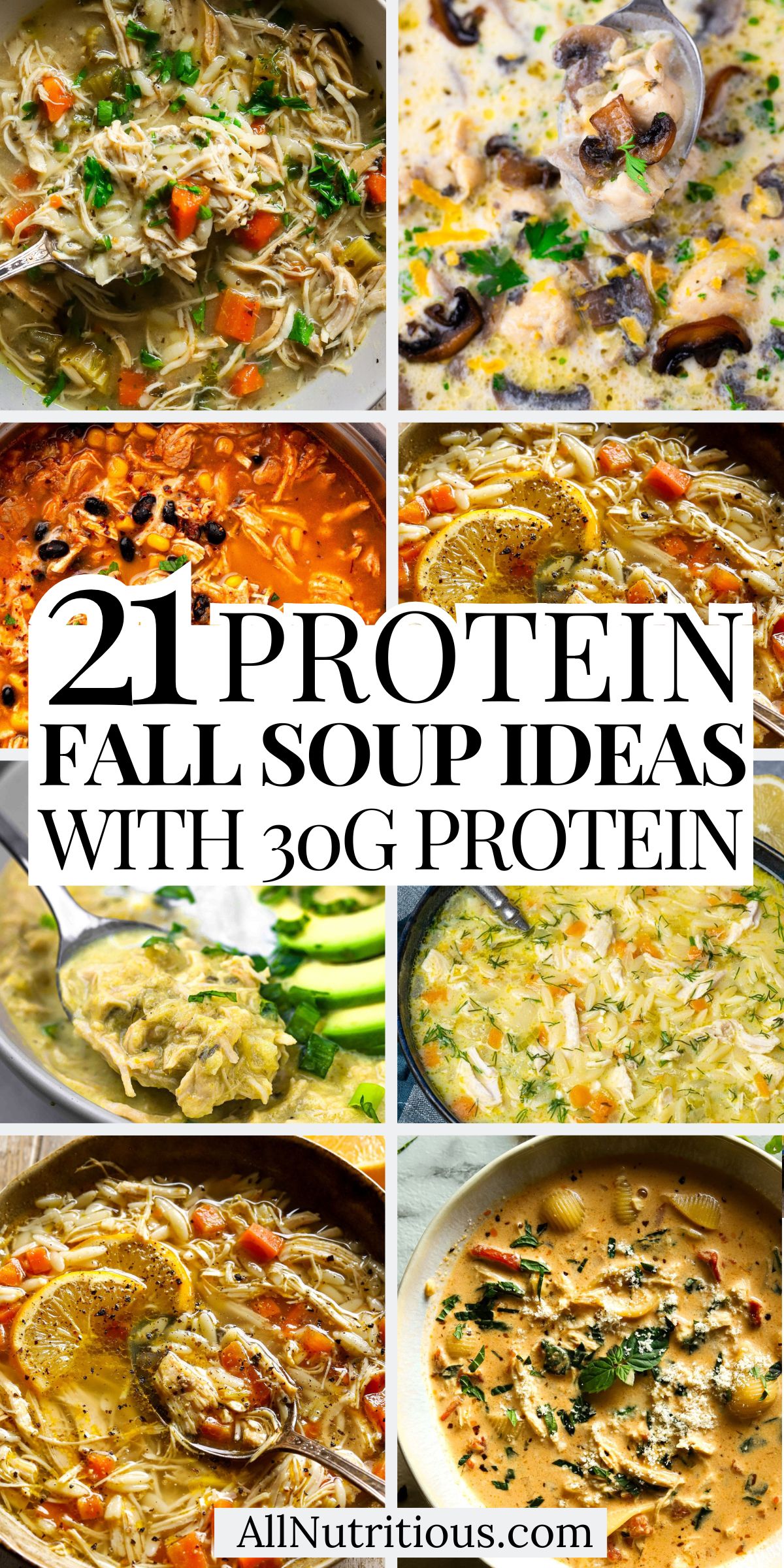 21 Fall High Protein Soup Ideas with 30G Protein