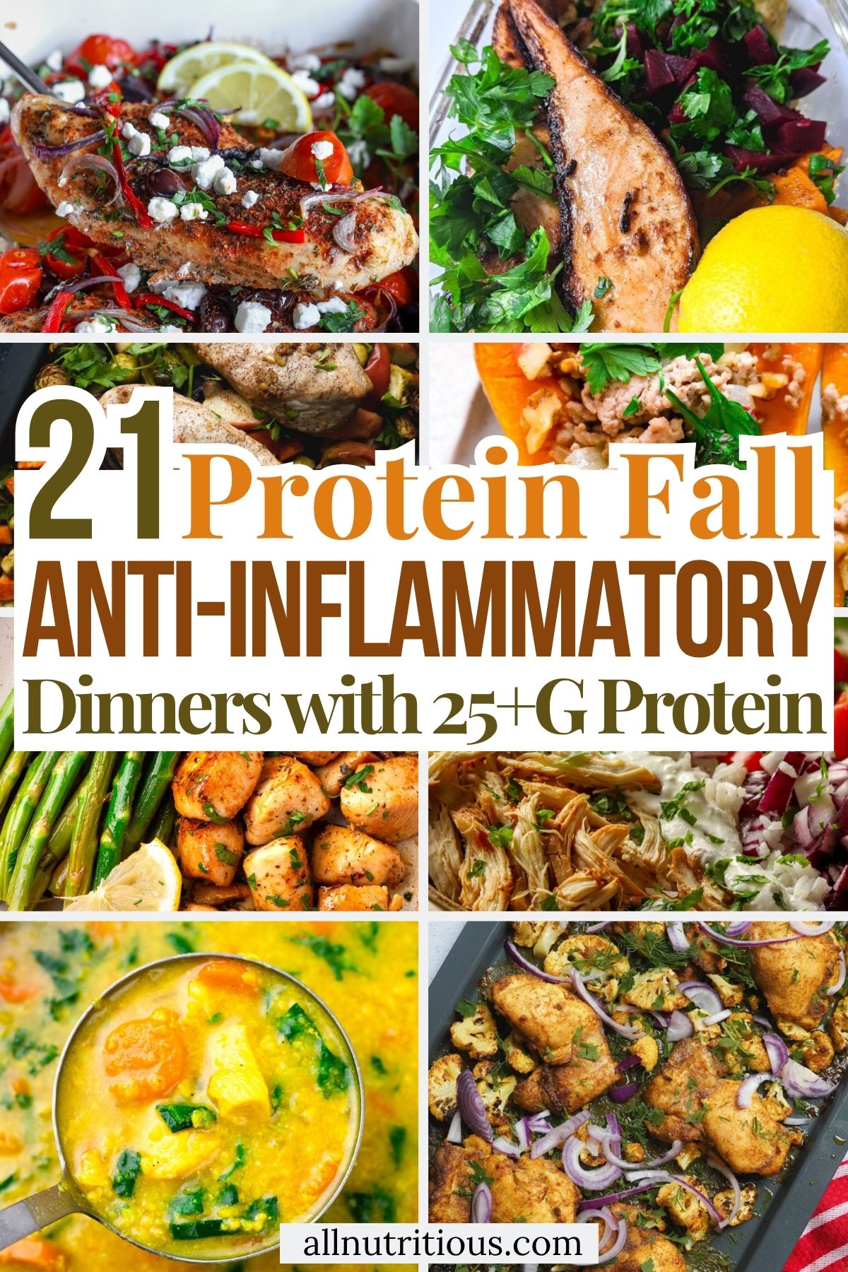21 High Protein Fall Anti-Inflammatory Dinners With 25+ G Protein