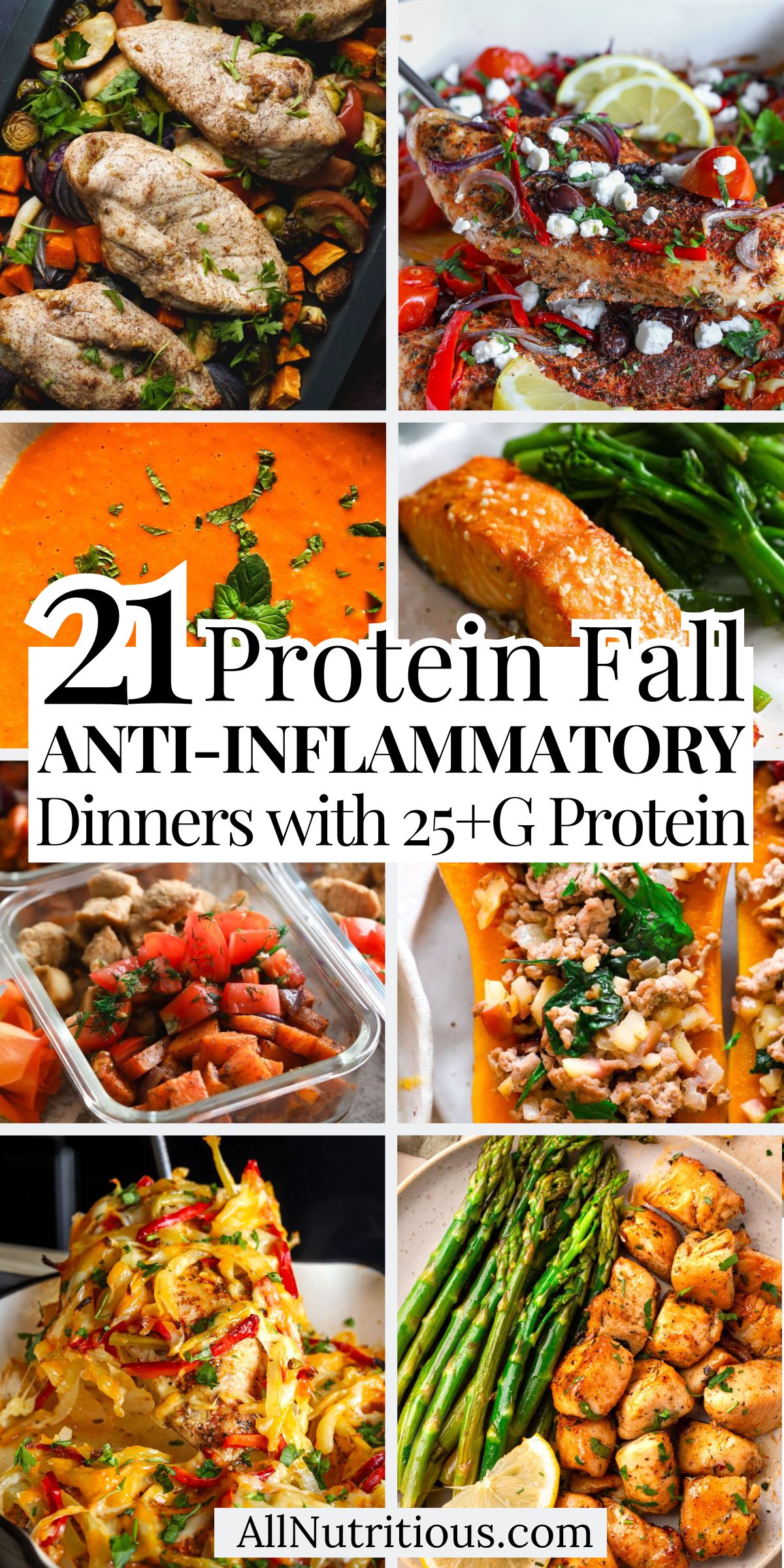21 High Protein Fall Anti-Inflammatory Dinners With 25+ G Protein