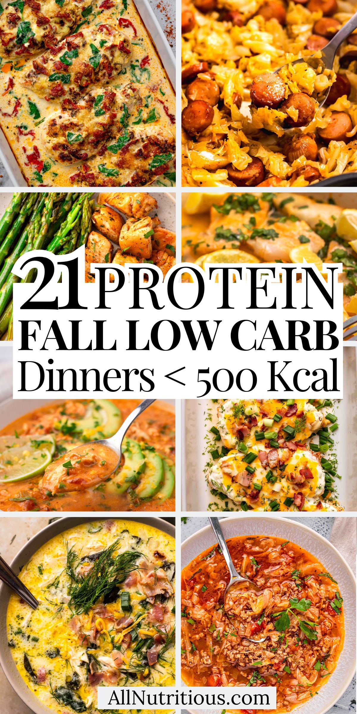 21 High Protein Fall Low Carb Dinners Under 500 Kcal