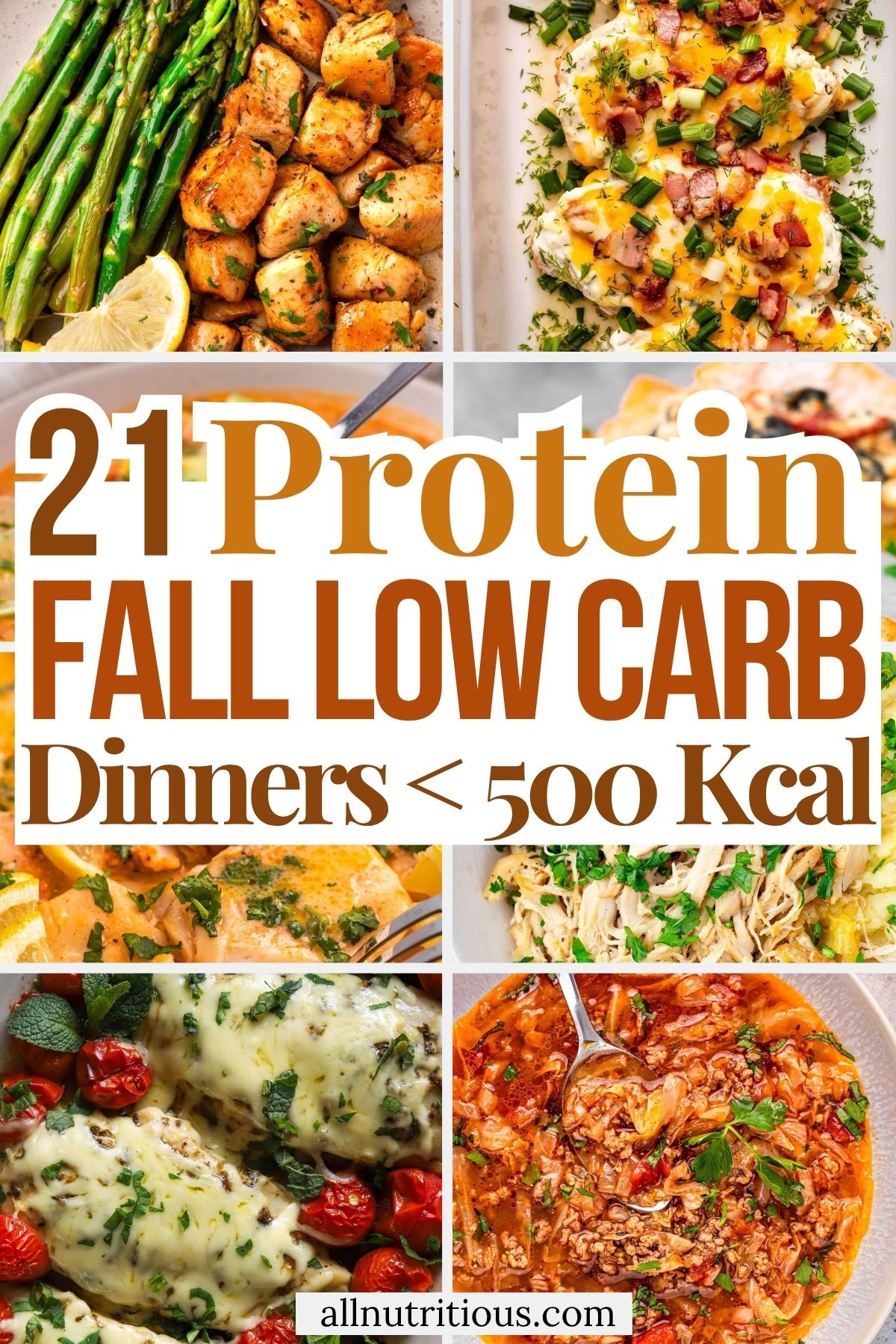 21 High Protein Fall Low Carb Dinners Under 500 Kcal