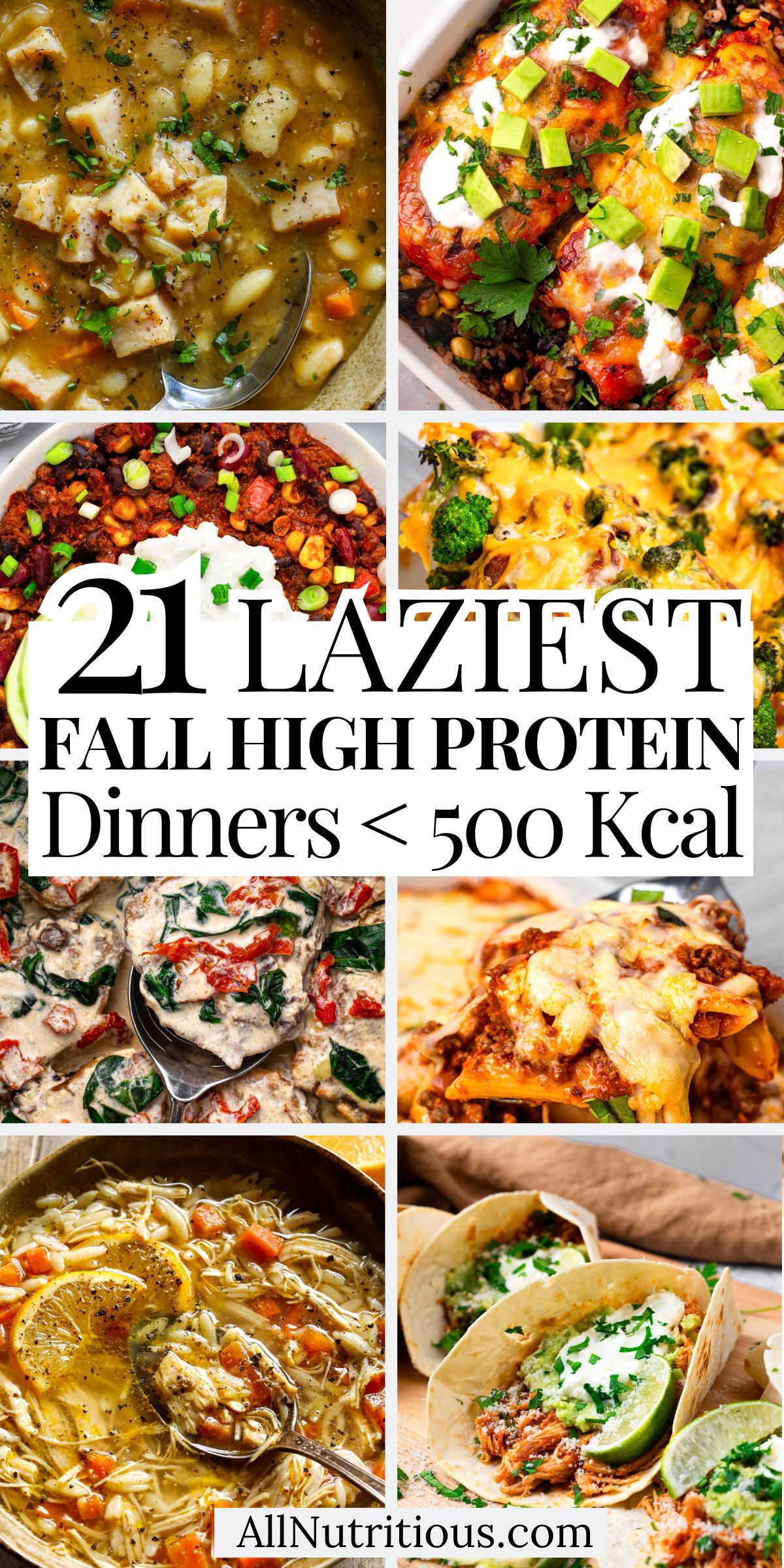21 Lazy Fall High Protein Dinners Under 500 Kcal