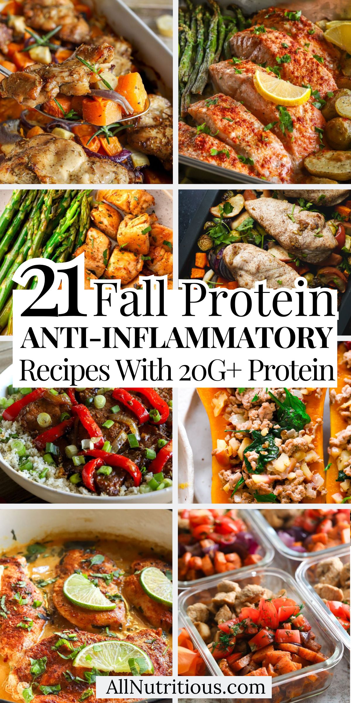 21 Fall High Protein Anti-Inflammatory Recipes with 20G+ Protein