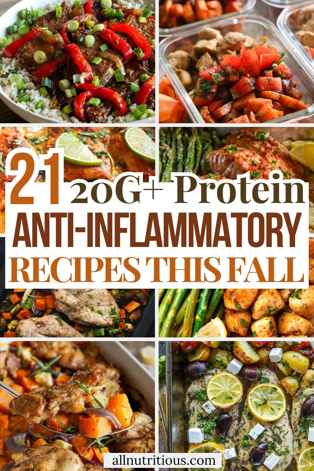 21 Fall High Protein Anti-Inflammatory Recipes with 20G+ Protein