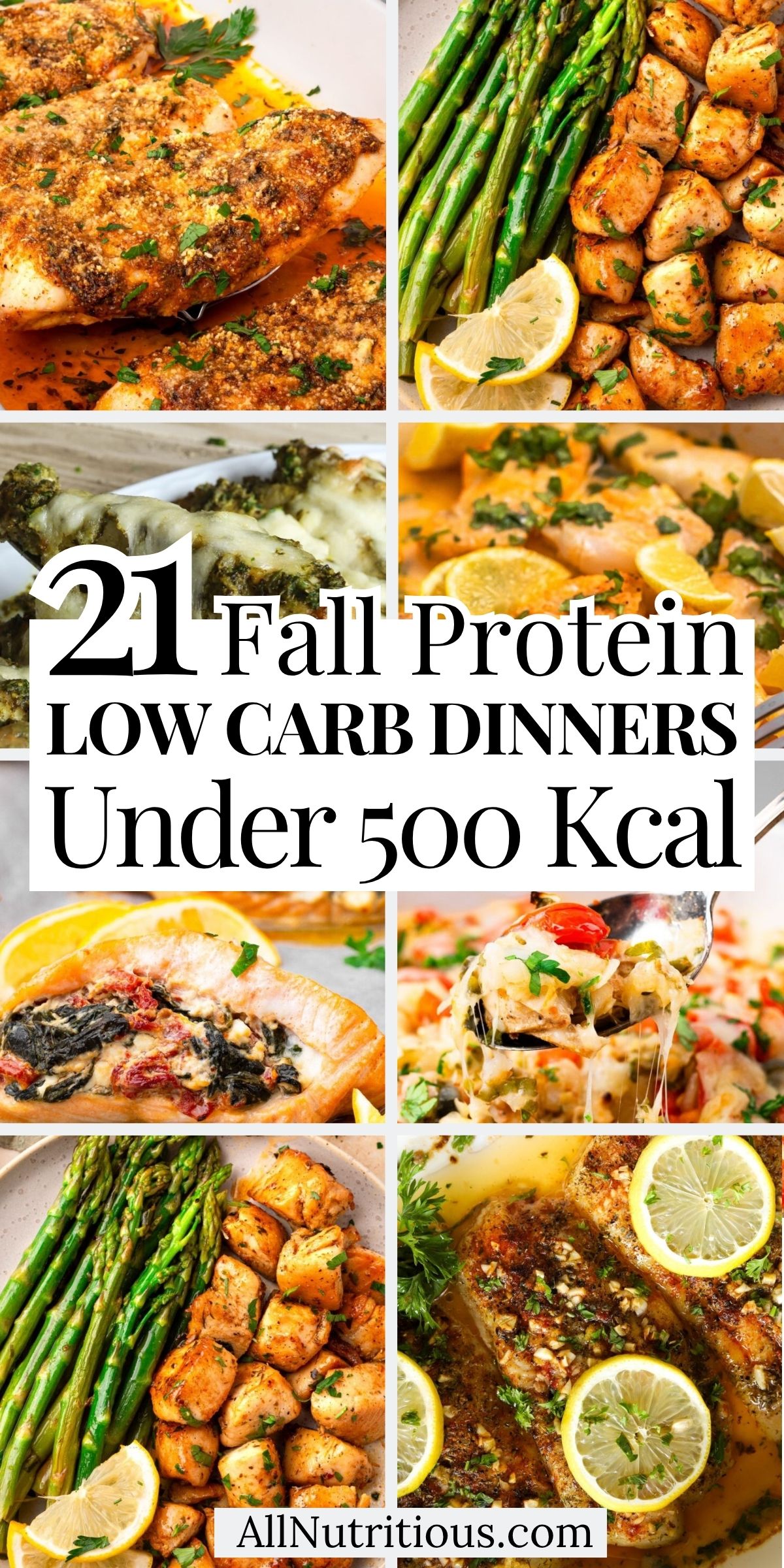 21 Fall High Protein Low Carb Dinners Under 500 Kcal