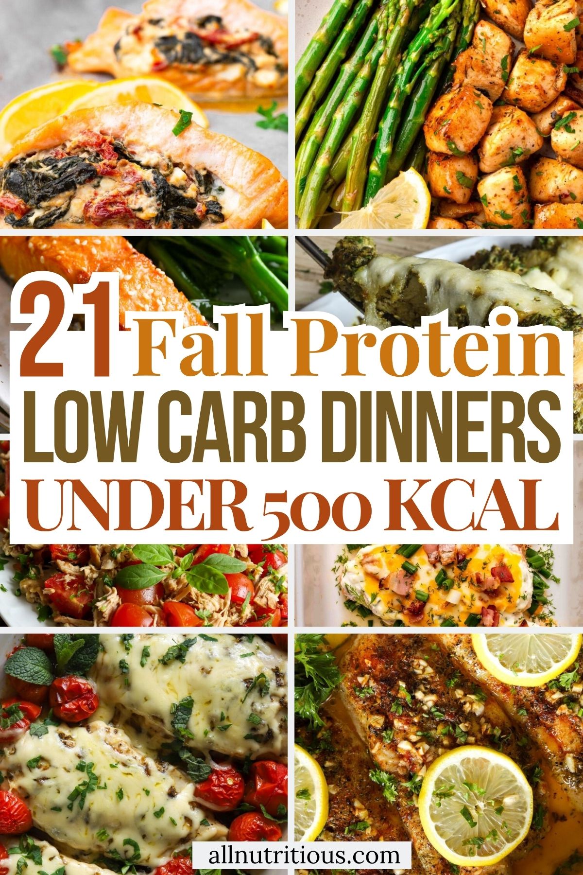 21 Fall High Protein Low Carb Dinners Under 500 Kcal