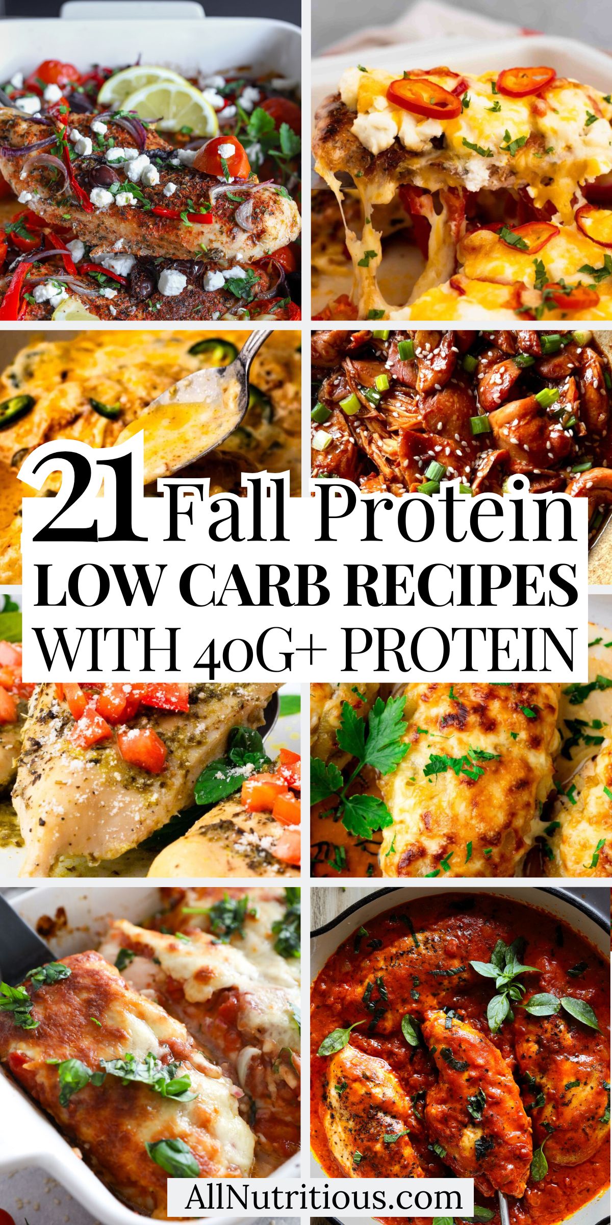 21 Fall High Protein Low Carb Recipes with 40G+ Protein