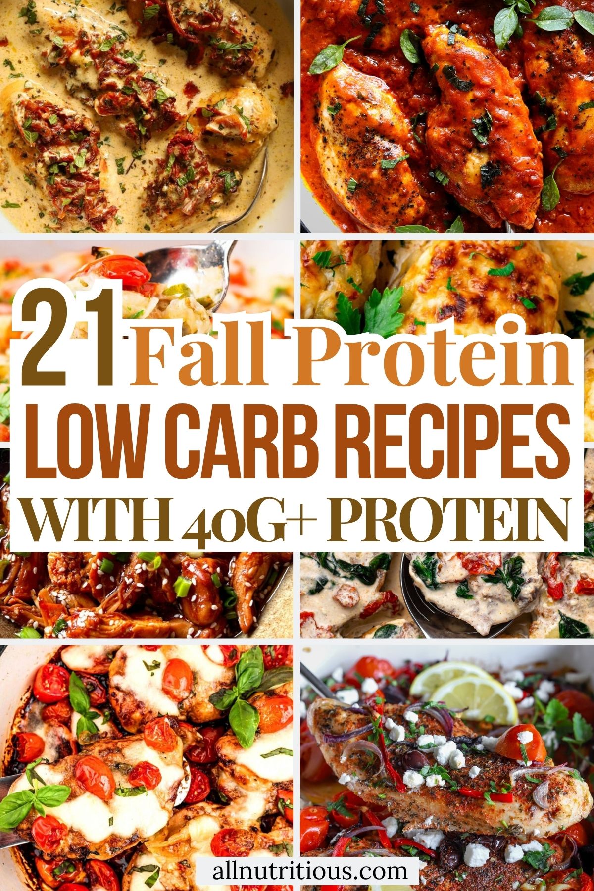 21 Fall High Protein Low Carb Recipes with 40G+ Protein