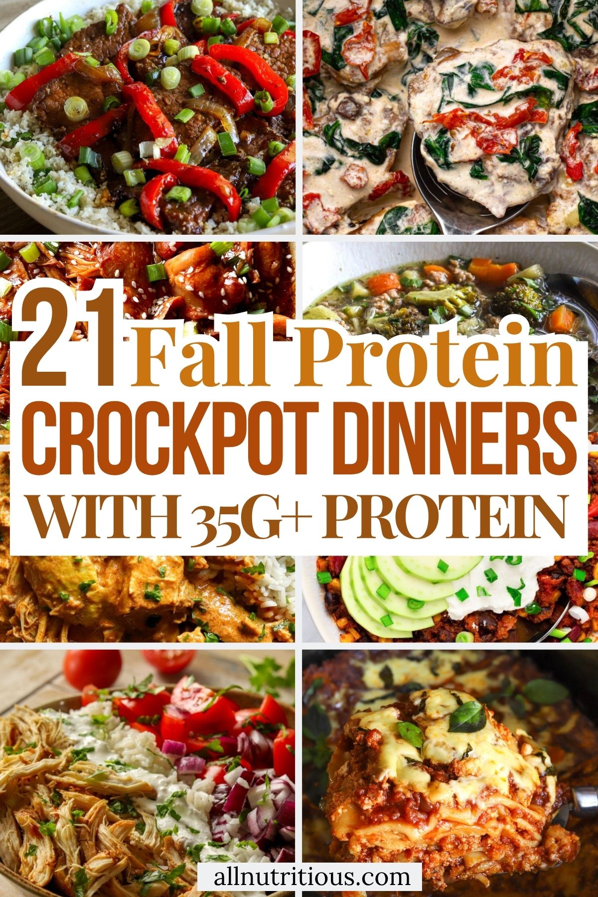 21 Fall Protein Crockpot Dinners with 35+G Protein