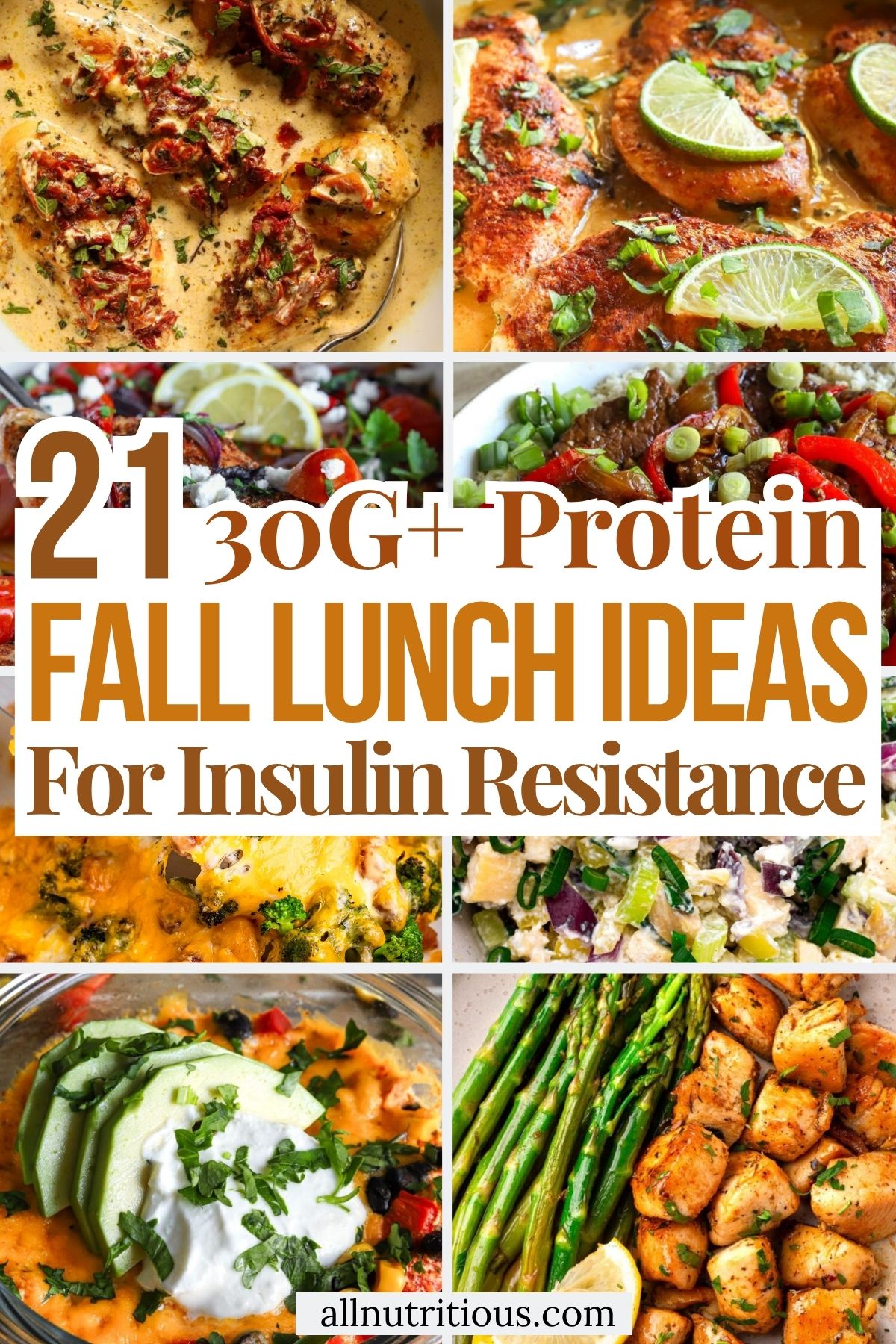 21 Fall Protein Lunch Ideas for Insulin Resistance with 30G+ Protein