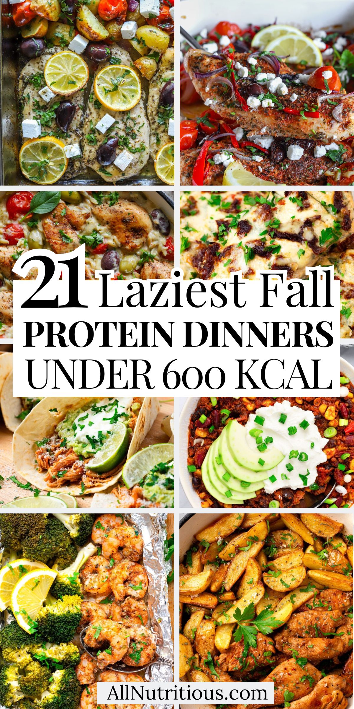 21 Lazy Fall High Protein Dinners Under 600 kcal
