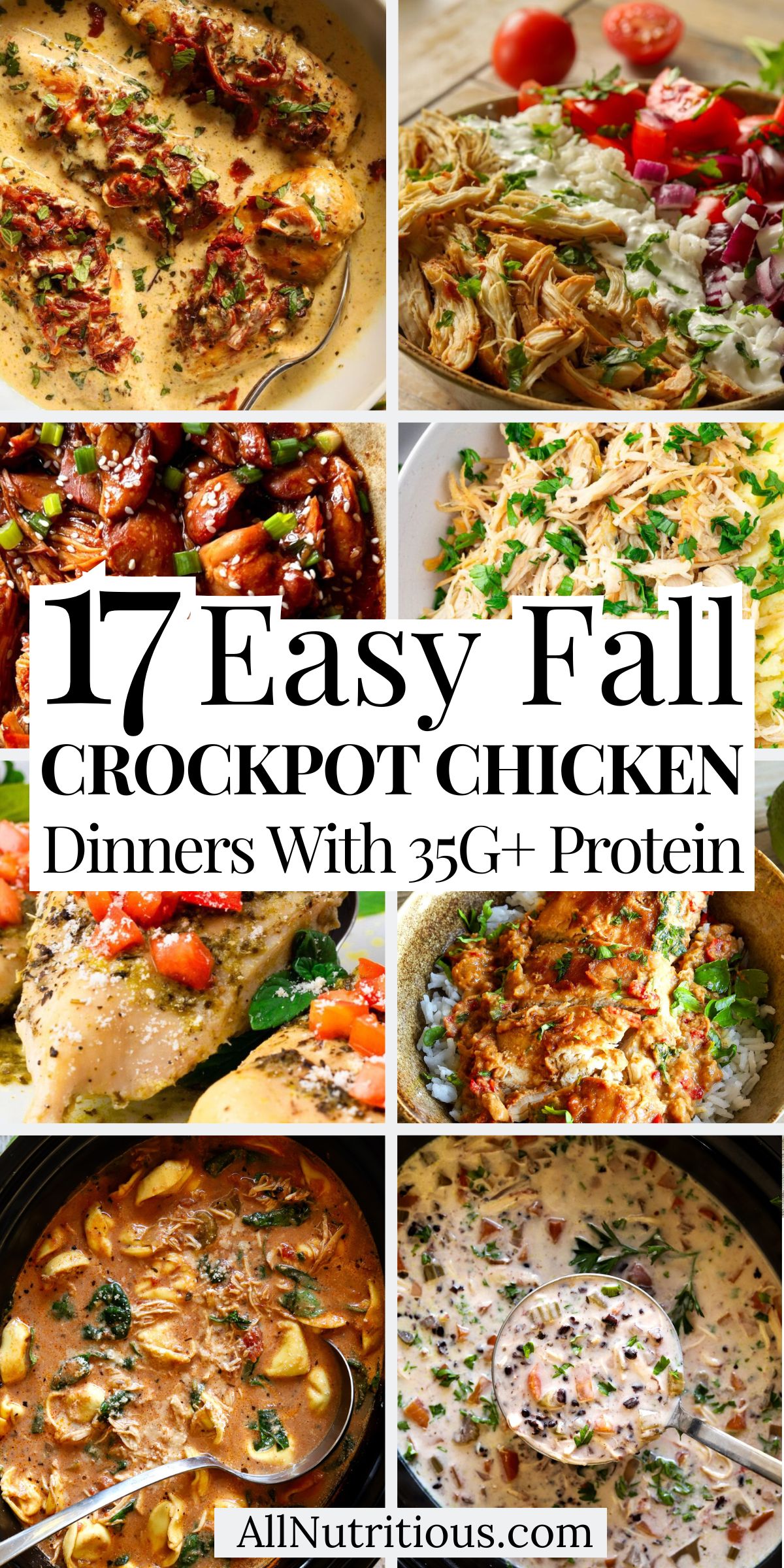 17 Fall Crockpot Chicken Dinners with 35G+ Protein