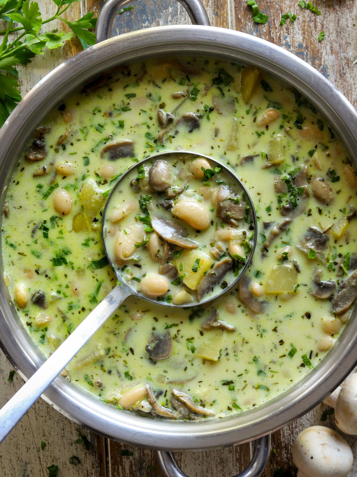 Yummy White Bean Mushroom Stew