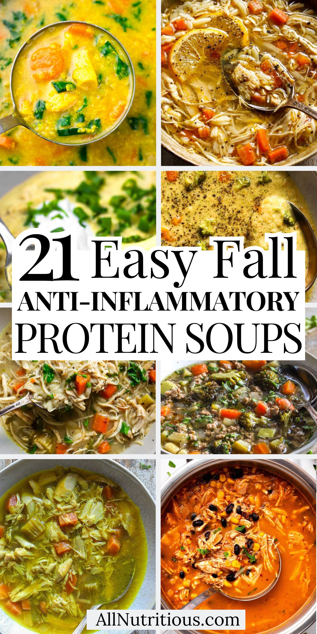 21 Fall Anti-Inflammatory High Protein Soups