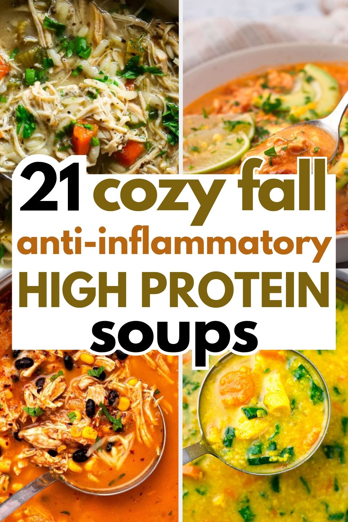 21 Fall Anti-Inflammatory High Protein Soups