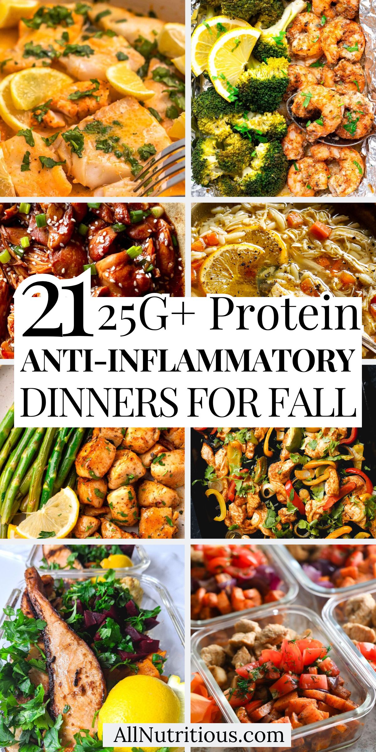 21 Fall High Protein Anti-Inflammatory Dinners 25G+ Protein