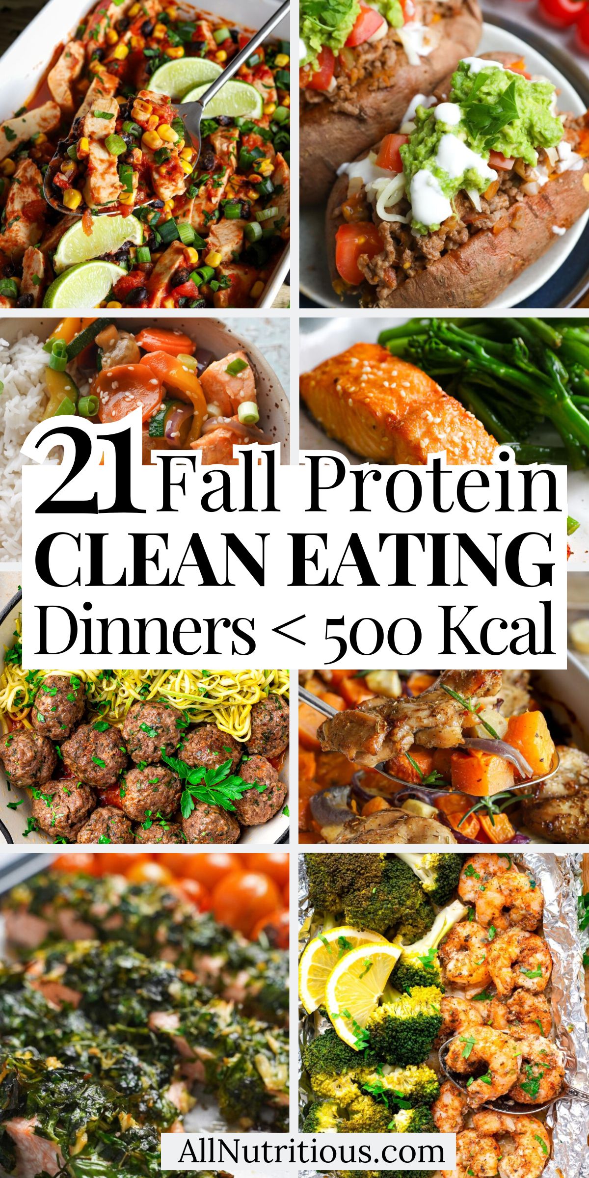 21 Fall High Protein Clean Eating Dinners Under 500 Kcal
