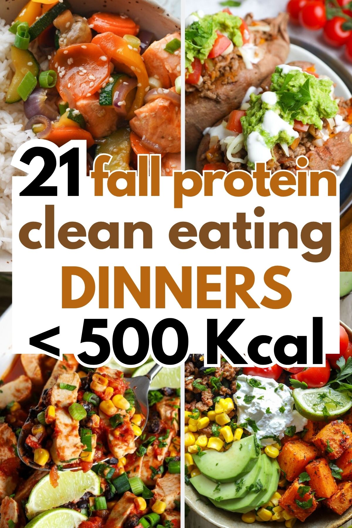 21 Fall High Protein Clean Eating Dinners Under 500 Kcal
