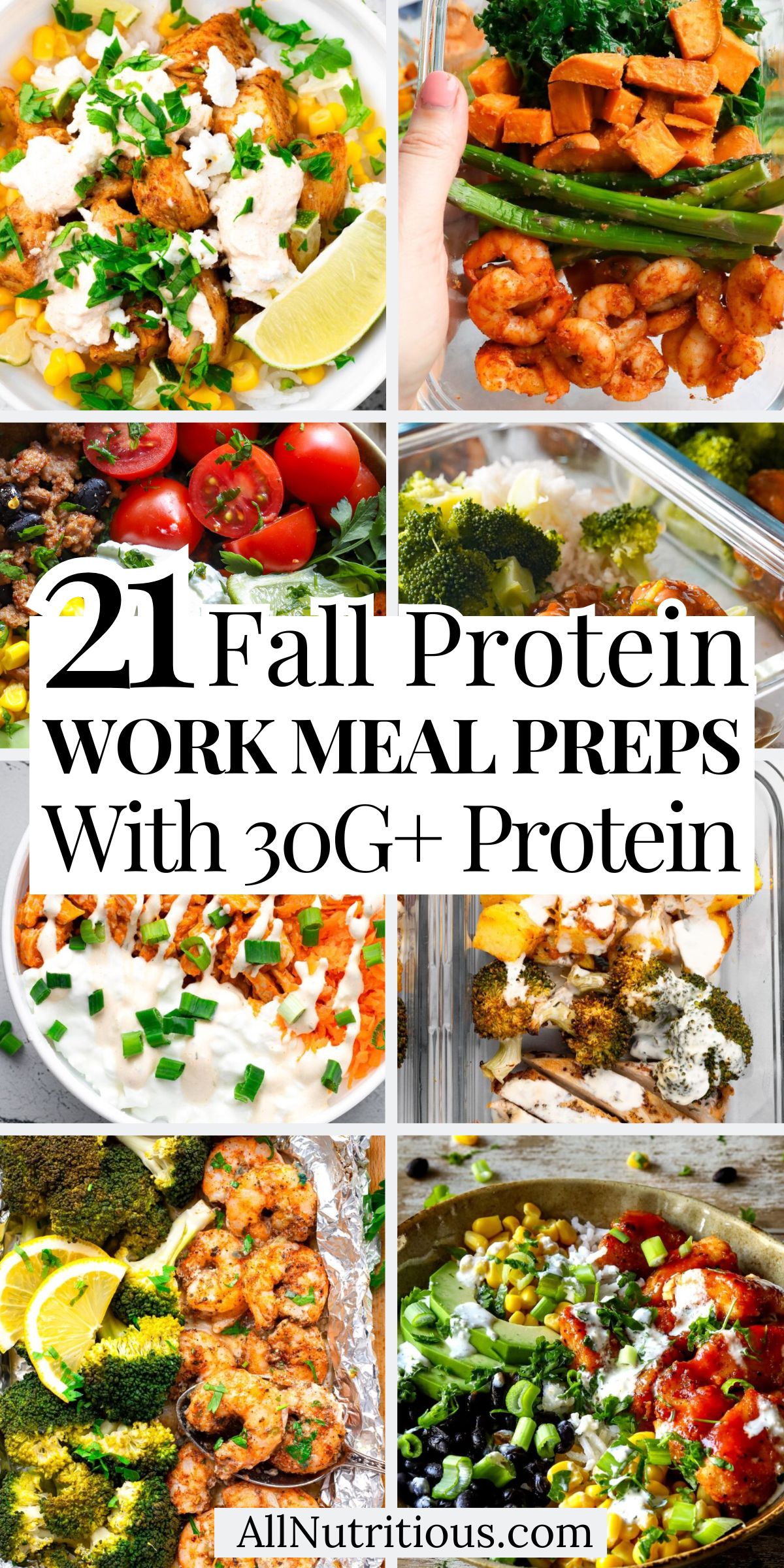 21 Fall High Protein Meal Preps for Work with 30G+ Protein