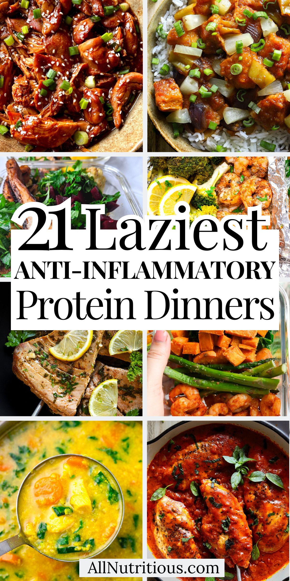 21 Lazy High Protein Anti-Inflammatory Dinners
