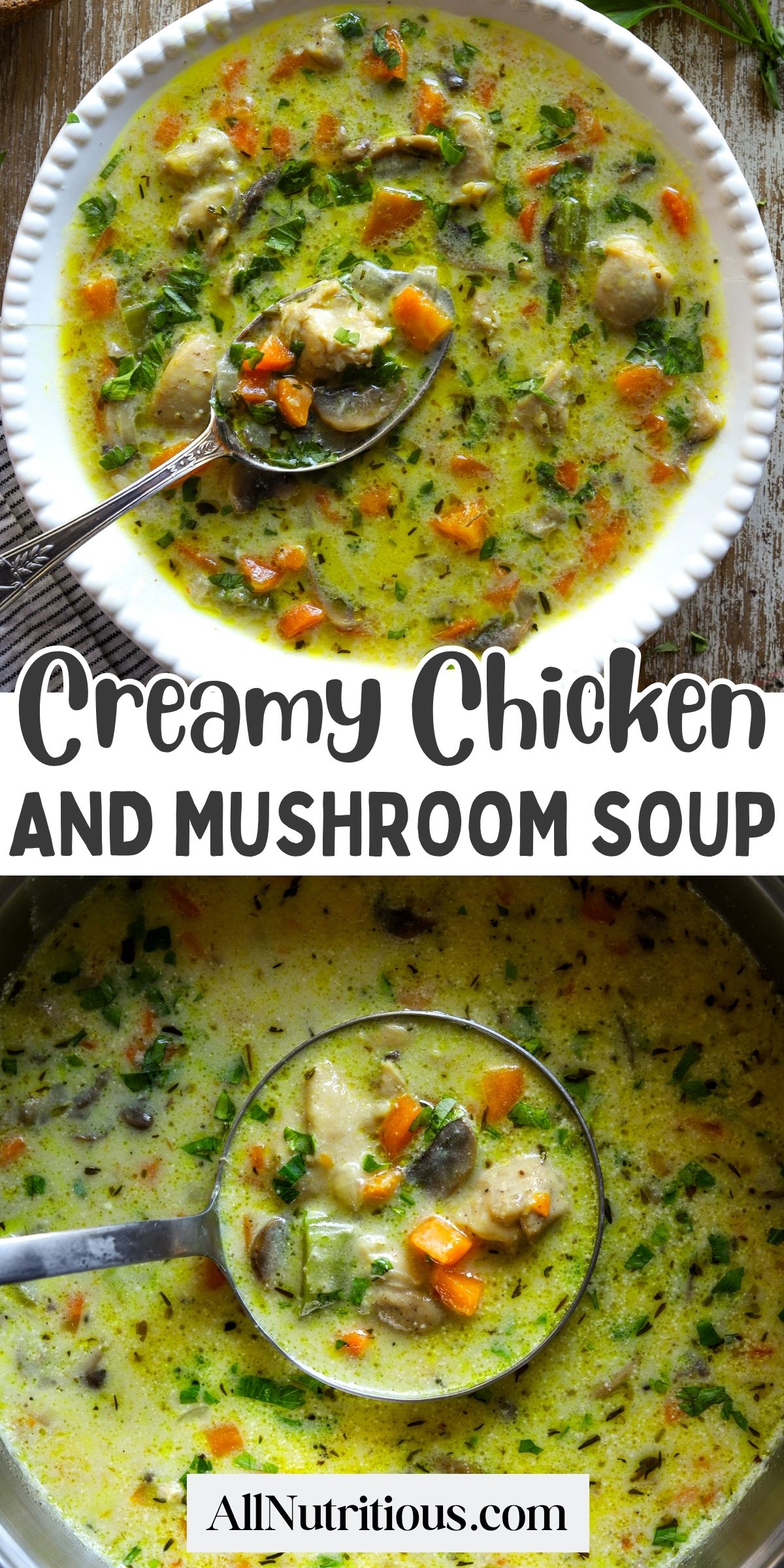 Creamy Chicken and Mushroom Soup