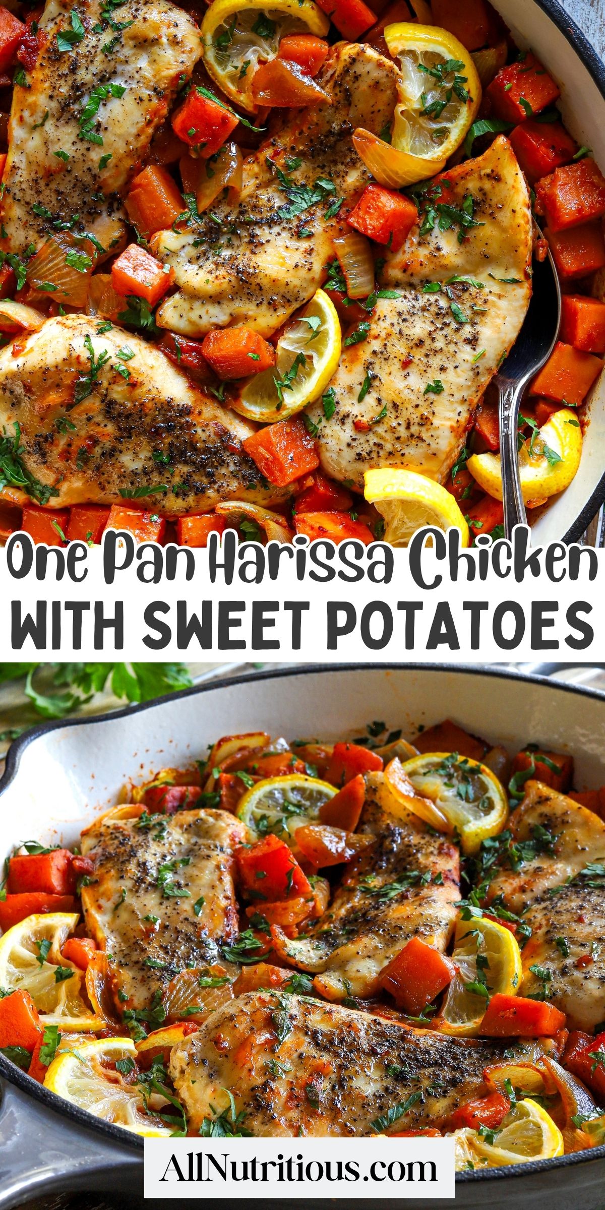 One Pan Harissa Chicken with Sweet Potatoes