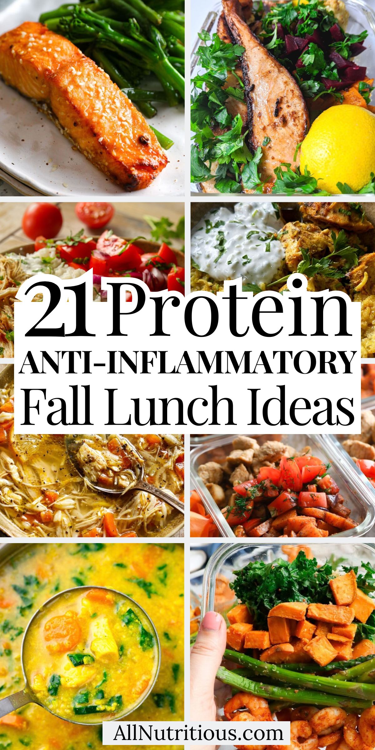 21 Fall High Protein Anti-Inflammatory Lunch Ideas