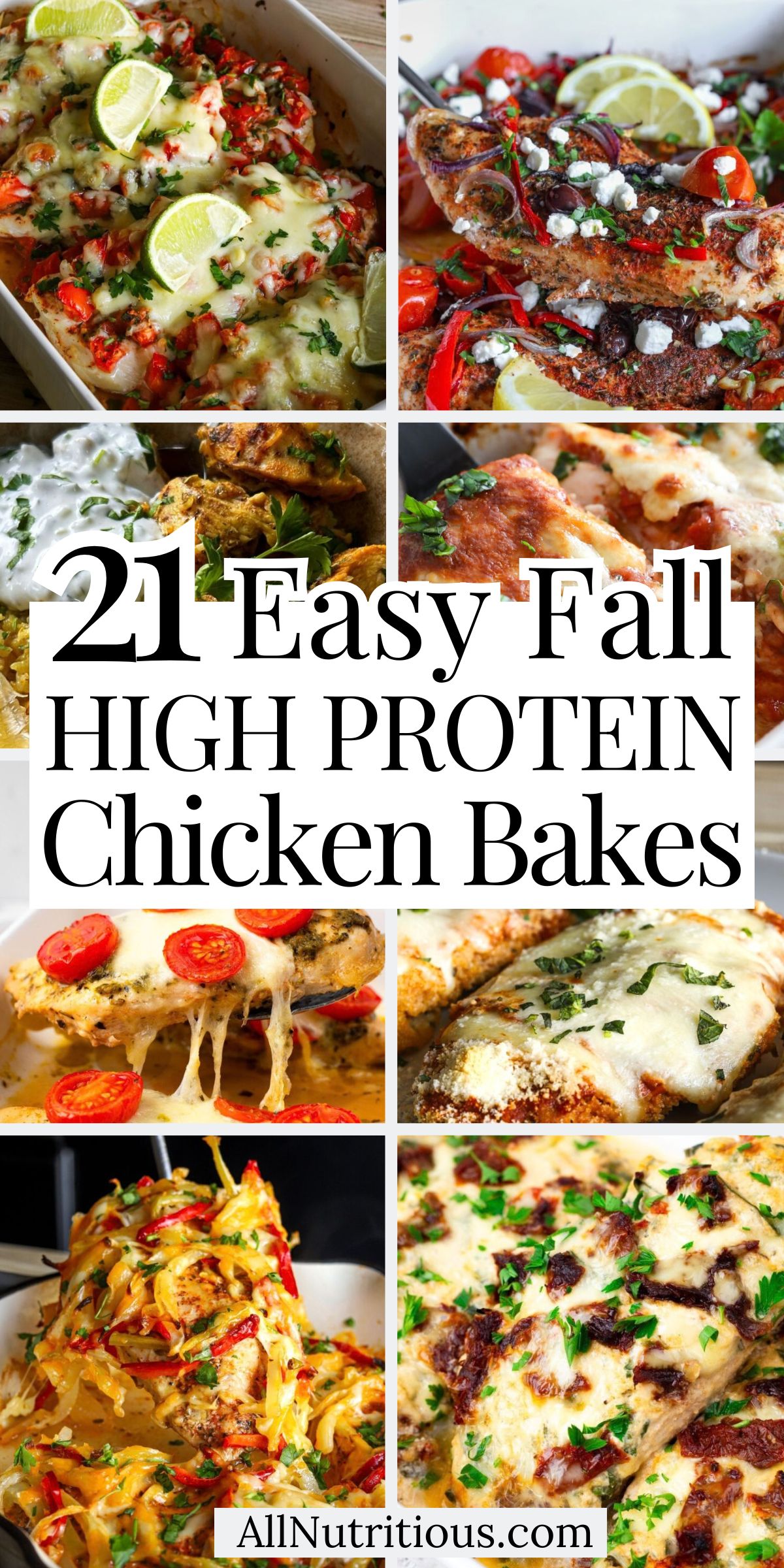 21 Fall High Protein Chicken Bakes