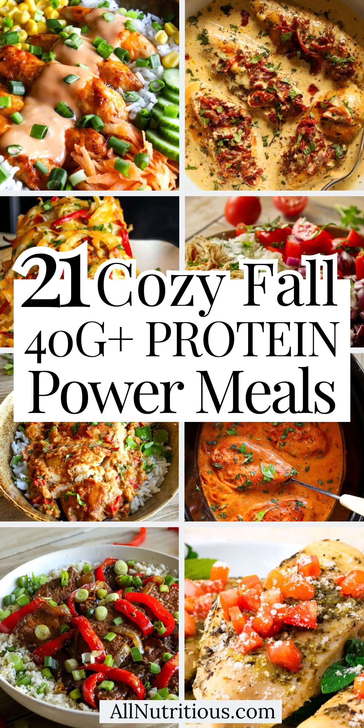 21 Fall High Protein Power Meals with 40G+ Protein