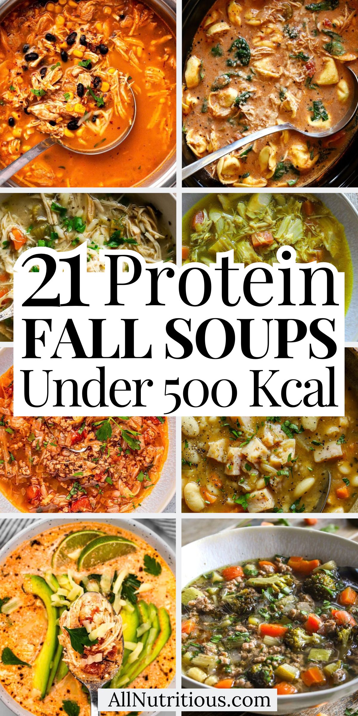 21 Fall High Protein Soups Under 500 Kcal