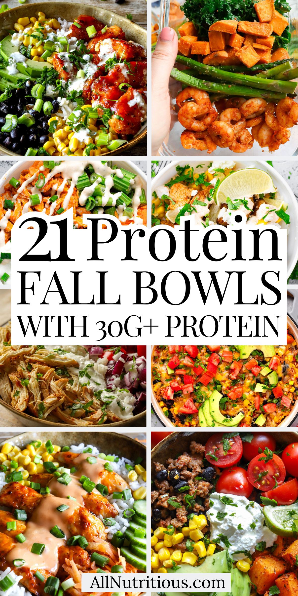 21 High Protein Fall Bowls with 30G+ Protein